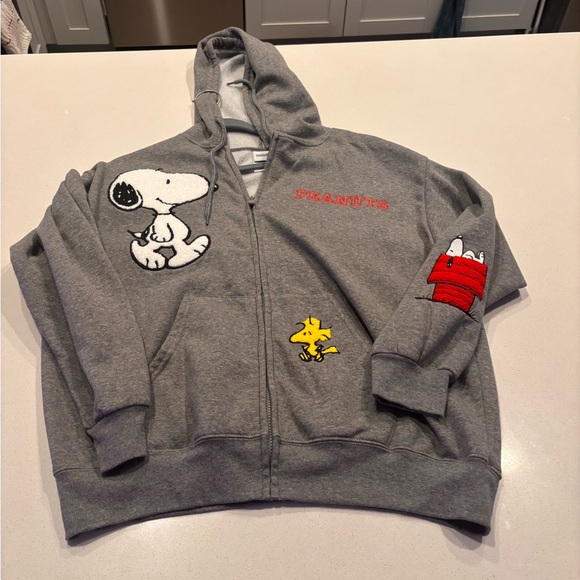 Peanuts Gray Hoodie with Snoopy and Woodstock Embroidery - Picture 1 of 11